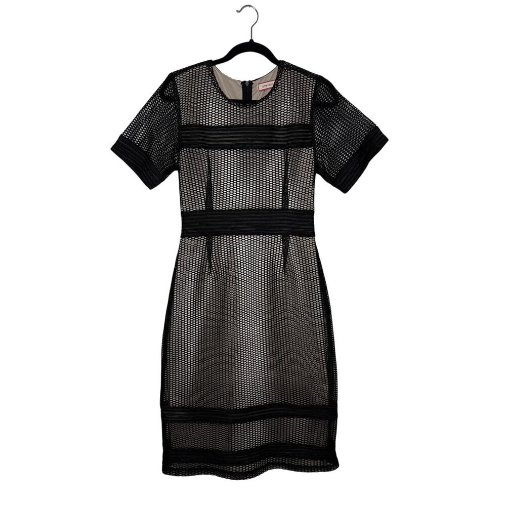 Black Mesh Bodycon Dress | Sheer 90s Minimalist Goth